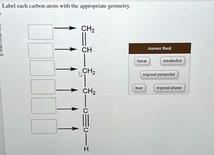 Solved Label Each Carbon Atom With The Appropriate Geometry Ch Ch