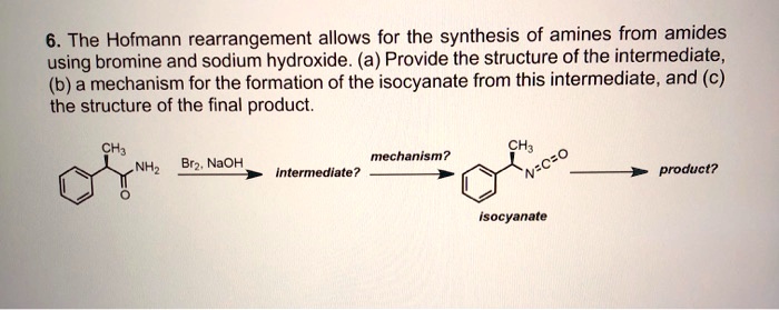 SOLVED 6 The Hofmann Rearrangement Allows For The Synthesis Of Amines