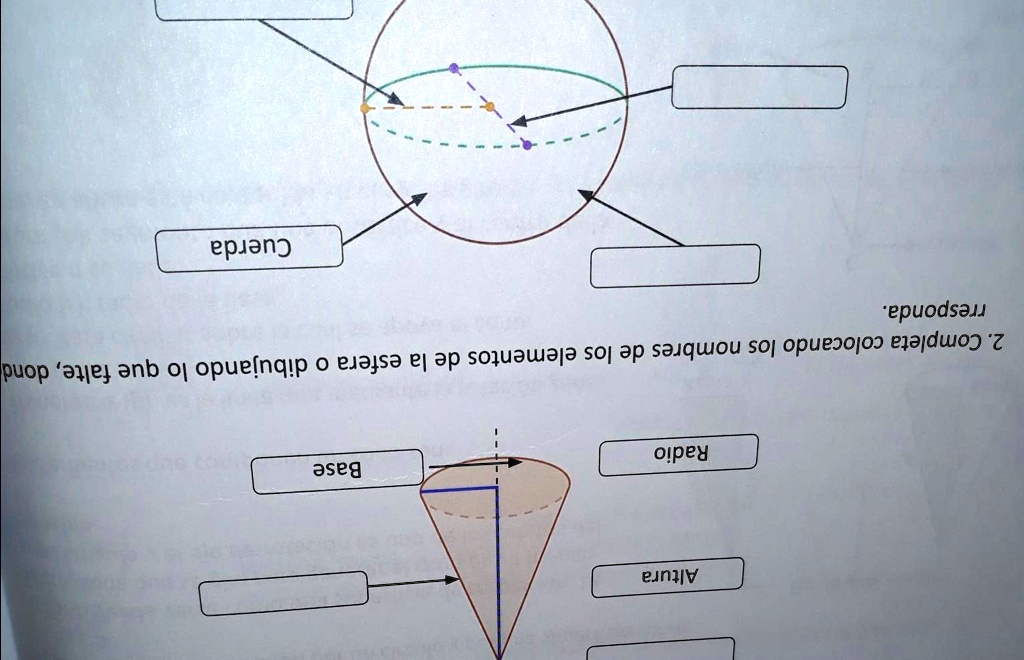 Solved Dibuja En Tu Cuaderno Los Siguientes Solidos Luego Escribe El