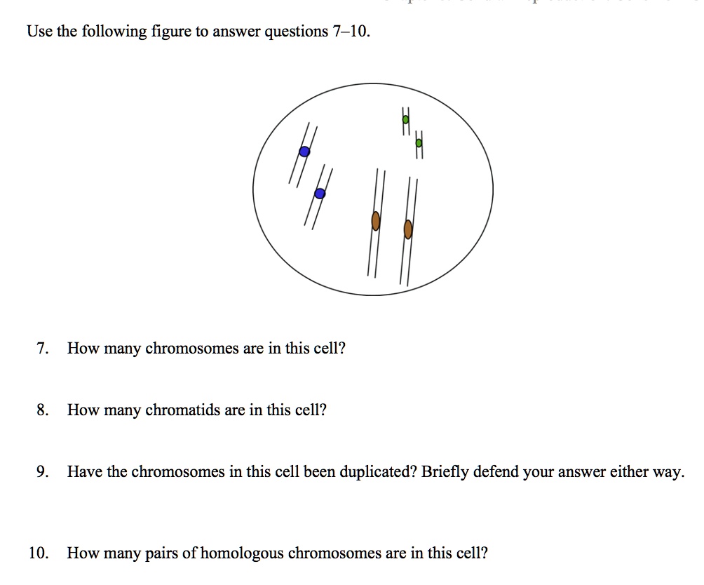 Use The Following Figure To Answer Questions 7 10 How Many Chromosomes