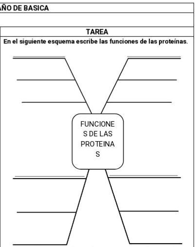 SOLVED En El Sigiente Esquema Escribe Las Funsiones De Las Proteinas