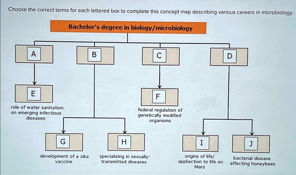 SOLVED Choose The Correct Terms For Each Lettered Box To Complete This