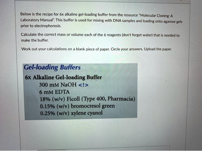 Dna Agarose Gel Loading Buffer Recipe Bryont Blog