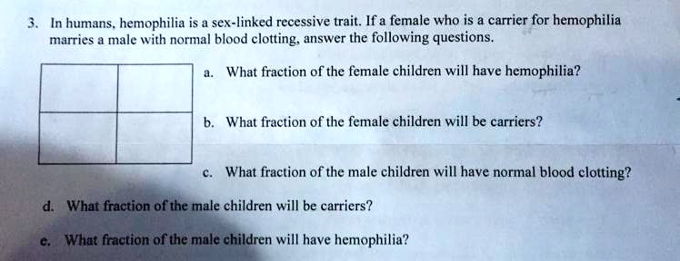 SOLVED Solve This Sex Linked Traits Practice Problem In Humans