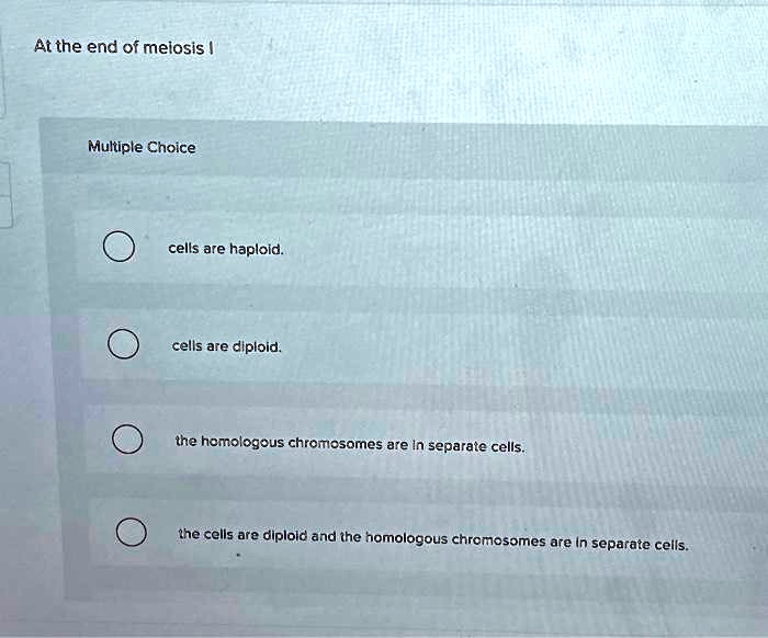 SOLVED At The End Of Meiosis I Multiple Choice Cells Are Haploid