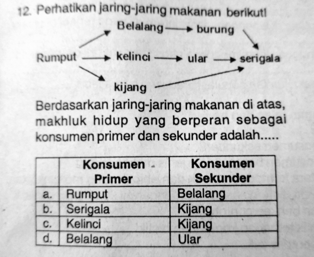 SOLVED Tolong Dijawab Ya Nomor Dua Belas 12 Perhatikan Jaring Jaring