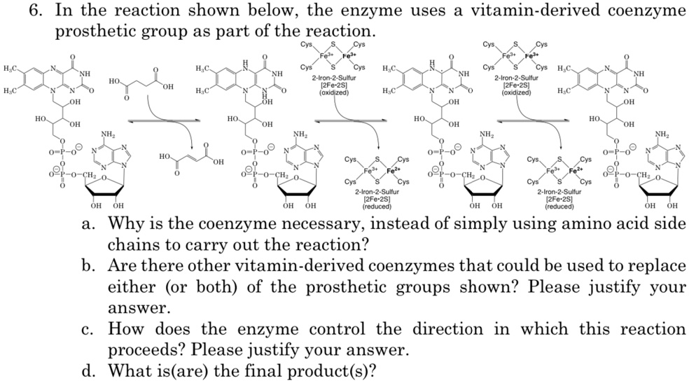 SOLVED Texts In The Reaction Shown Below The Enzyme Uses A Vitamin