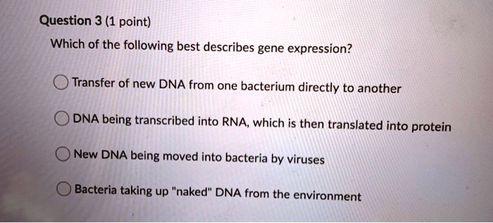 Solved Question Point Which Of The Following Best Describes Gene