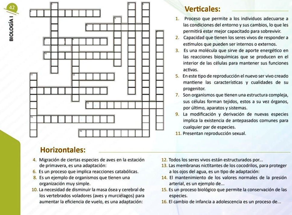 Solved Crucigrama De Las Caracter Sticas De La Vida Verticales