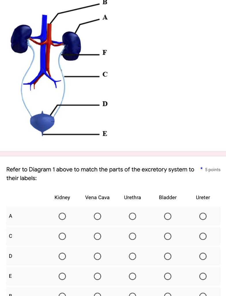 Solved Please Help In This Question Refer To The Diagrams Below And