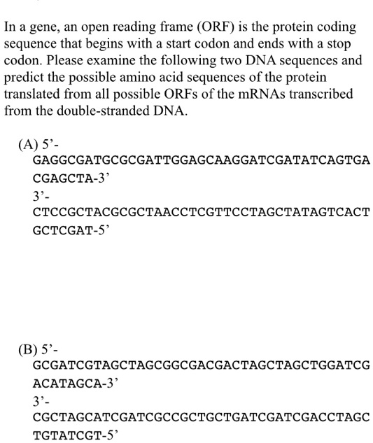 SOLVED In A Gene An Open Reading Frame ORF Is The Protein Coding