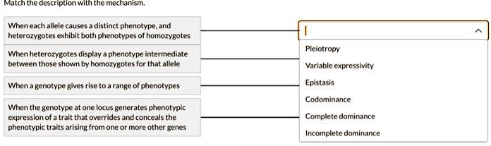 Match The Description With The Mechanism When Each Allele Causes A