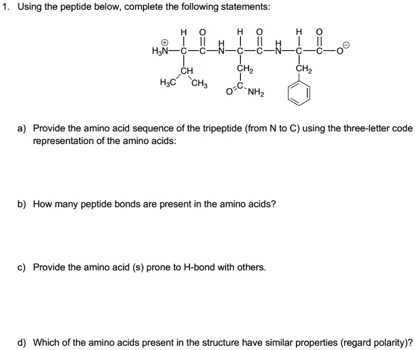 Solved Using The Peptide Below Complete The Following Statements Hzn