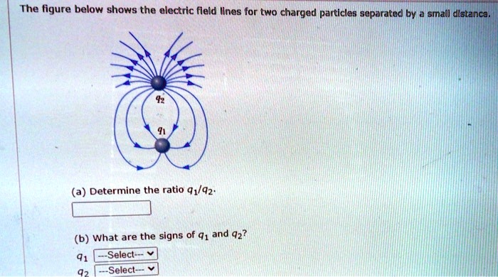 SOLVED The Figure Below Shows The Electric Field Lines For Two Charged