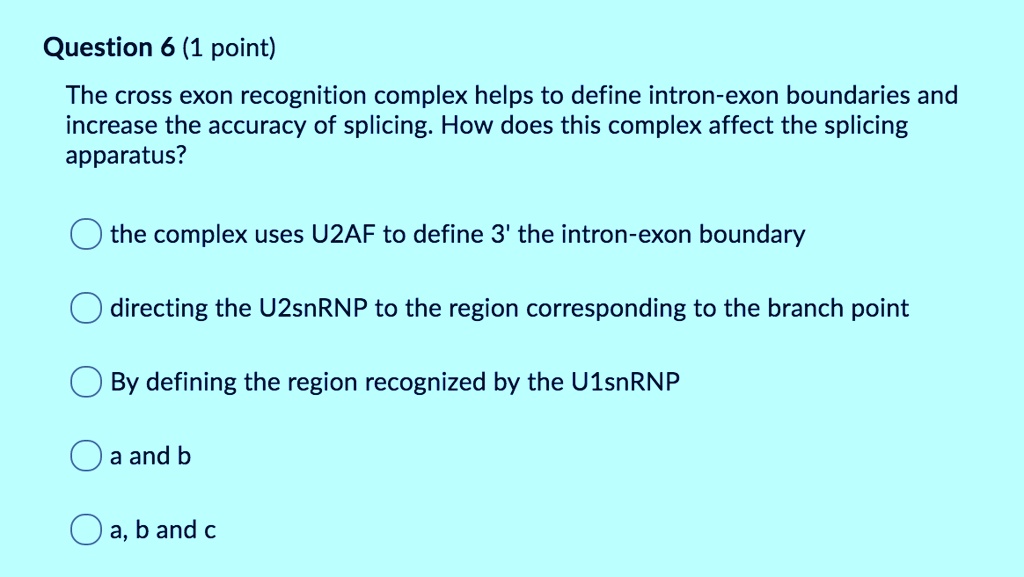 SOLVED Question 6 1 Point The Cross Exon Recognition Complex Helps