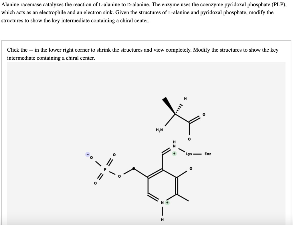 Alanine Racemase Catalyzes The Reaction Of L Alanine To D Alanine The