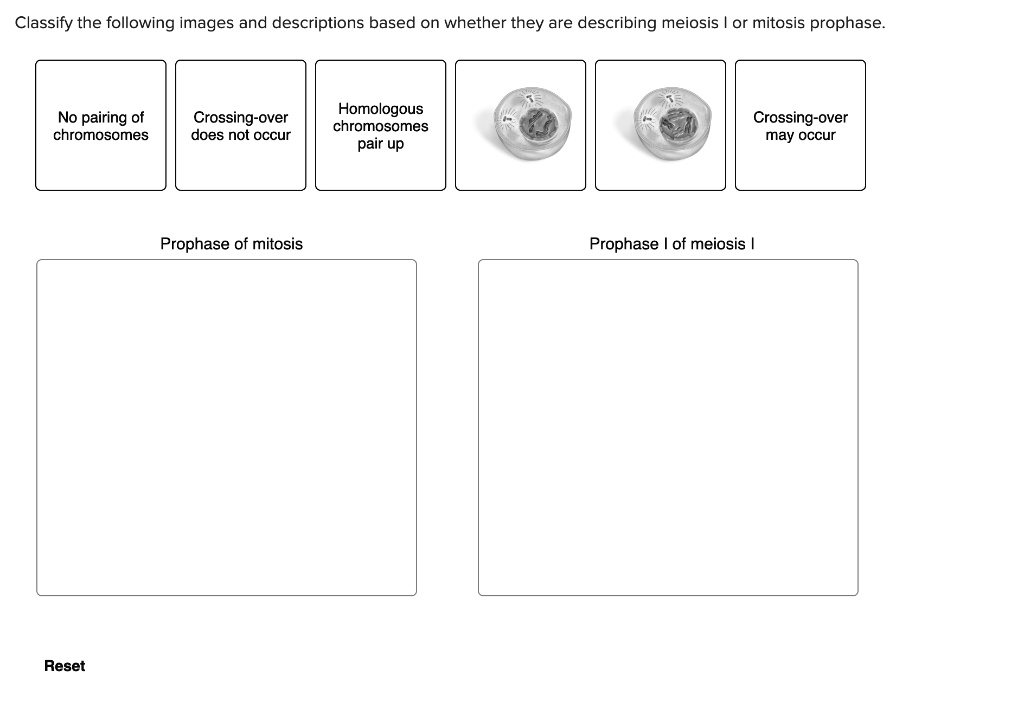 Classify The Following Images And Descriptions Based On Whether They