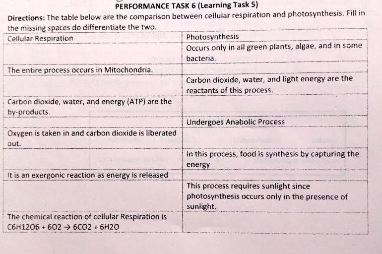 SOLVED PASAGOT PLS KELANGAN TALAGA PERFORMANCE TASK 6 Learning Task