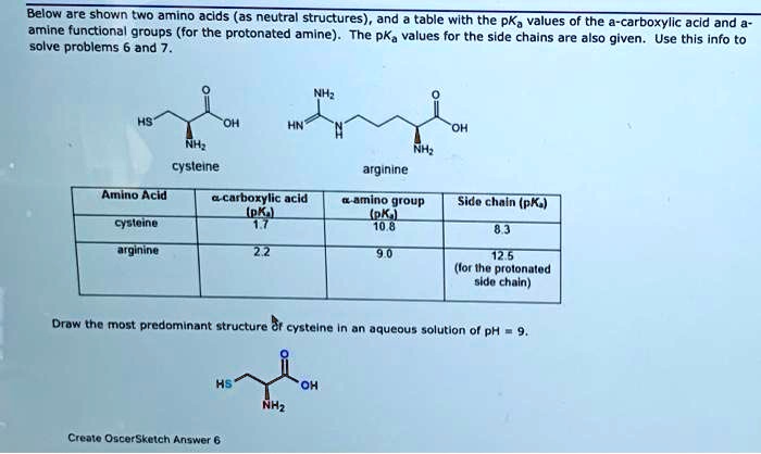 Solved Below Are Shown Two Amino Acids As Neutral Structures And A