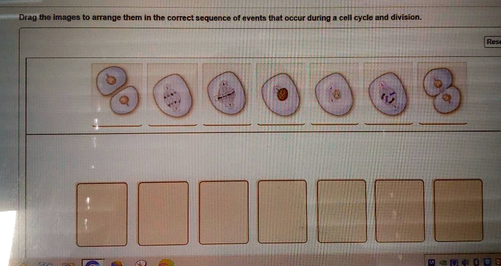 Solved Drag The Images To Arrange Them In The Correct Sequence Of