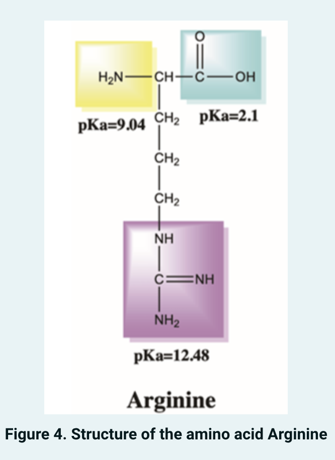 Arginine Figure 4 Structure Of The Amino Acid Arginine