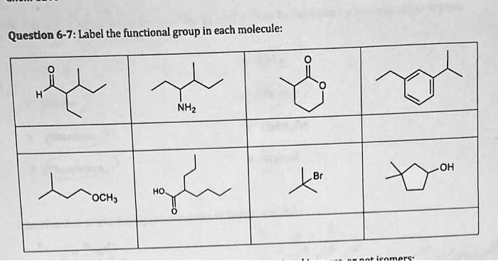 SOLVED Question 6 7 Label The Functional Group In Each Molecule NHz