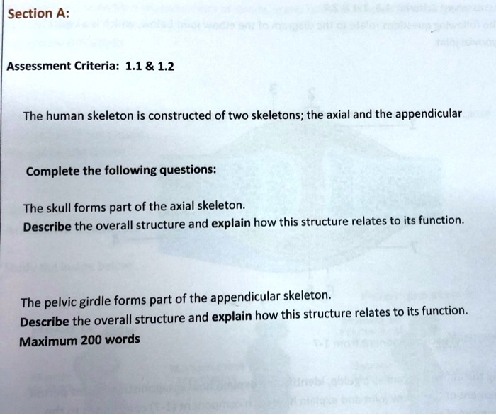 Solved Section A Assessment Criteria The Human Skeleton Is