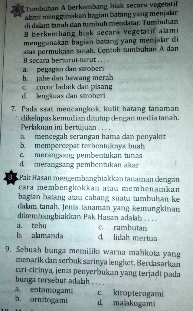 Solved Tolong Dikerjakan Ini Mau Segera Dikumpulkan Tumbuhan A