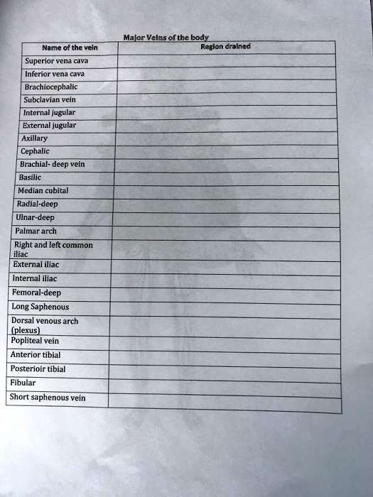 Solved Major Veins Of The Body Region Drained Name Of The Vein