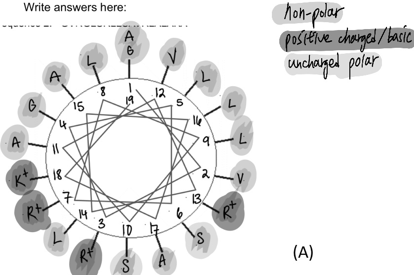 Solved Given The Helical Wheel Diagram Below Predict The Function