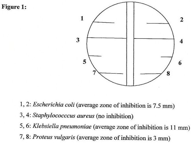 Solved Figure I Escherichia Coli Average Zone Of Inhibition Is