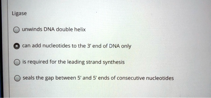 Solved Ligase Unwinds Dna Double Helix Can Add Nucleotides To The