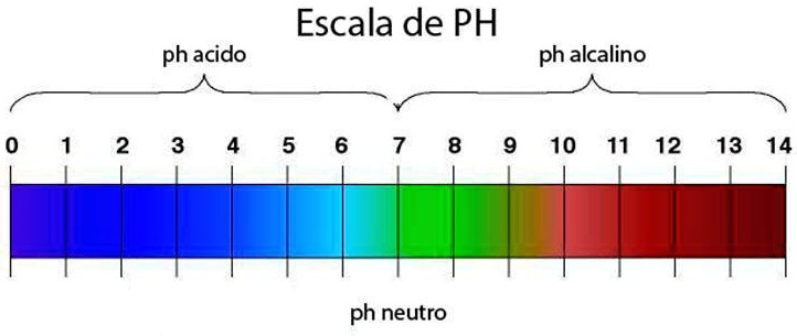 Solved A Calcular El Ph De Una Soluci N De M De Cido