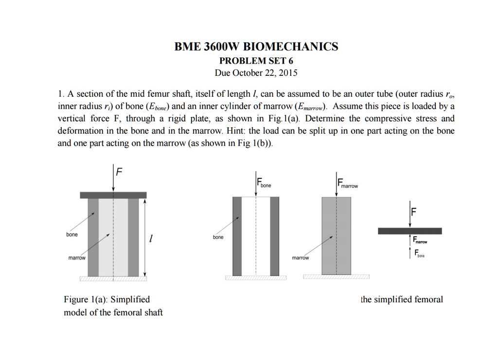 Solved Bme W Biomechanics Problem Set Due October A