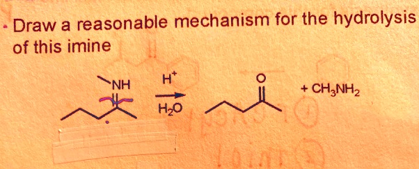 SOLVED Draw A Reasonable Mechanism For The Hydrolysis Of This Imine Ht