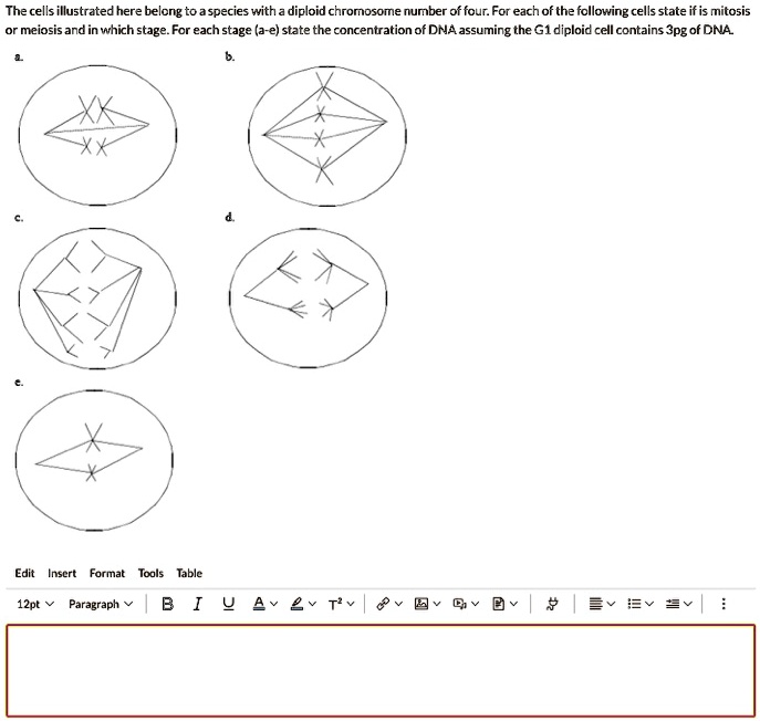 Solved The Cells Illustrated Here Belong To Aspecies With A Diploid