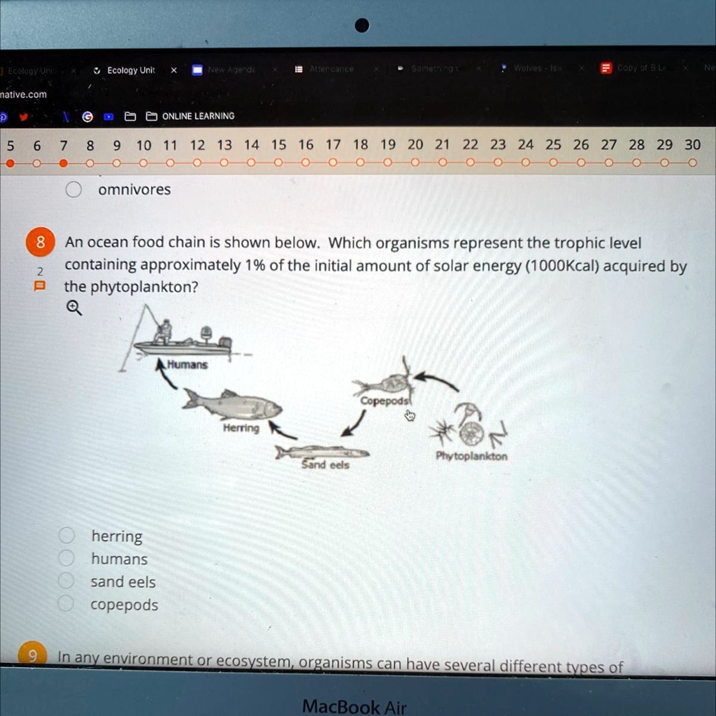 SOLVED 8 An Ocean Food Chain Is Shown Below Which Organisms