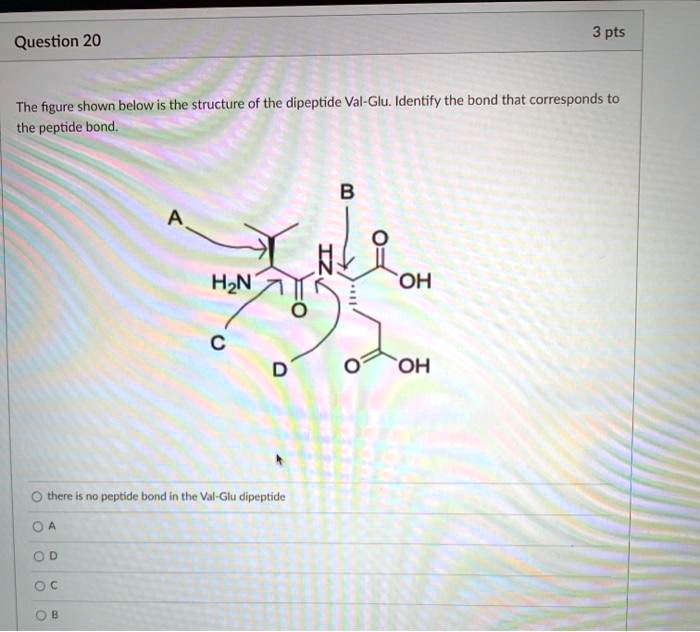 SOLVED The Figure Shown Below Is The Structure Of The Dipeptide Val