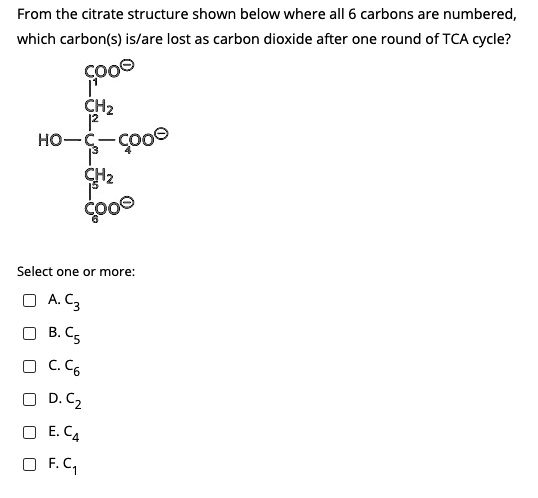 Solved From The Citrate Structure Shown Below Where All Carbons Are