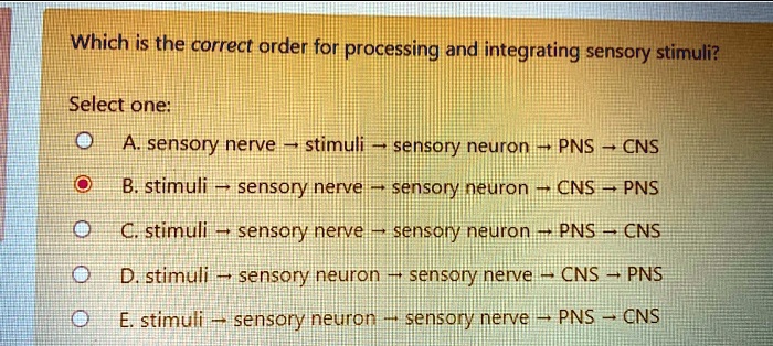 SOLVED Which Is The Correct Order For Processing And Integrating