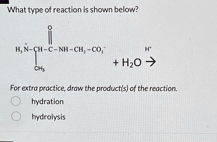 SOLVED What Type Of Reaction Is Shown Below 0 HN CH C NH CH CO Ht