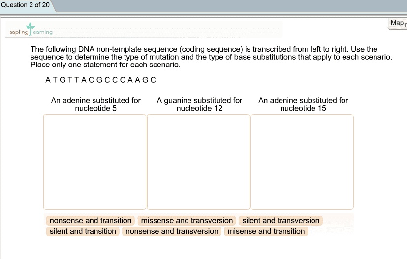 Solved Question Of Map Sapling Learning The Following Dna Non