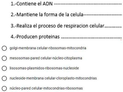 SOLVED Ayudeme Porfavor 1 Contiene