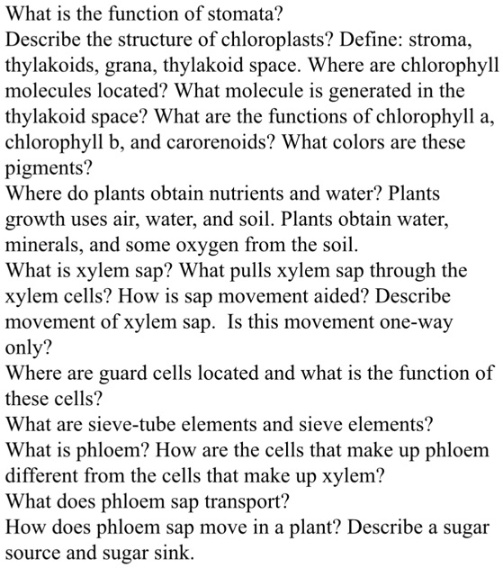 Solved What Is The Function Of Stomata Describe The Structure Of