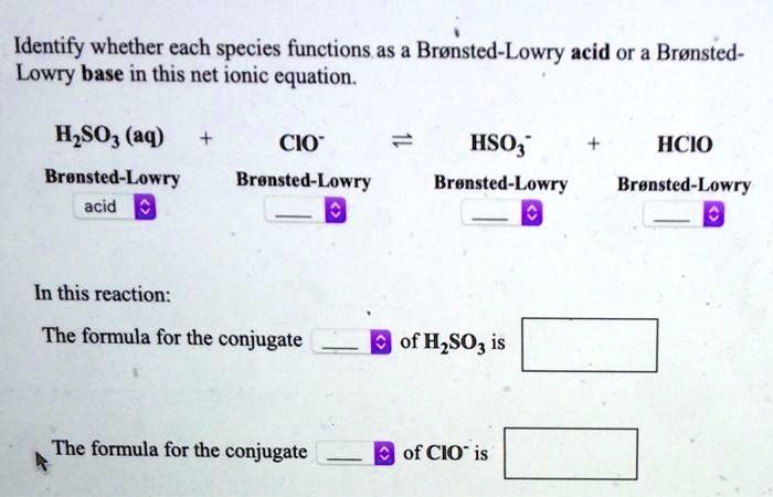 Solved Text Identify Whether Each Species Functions As A Bronsted