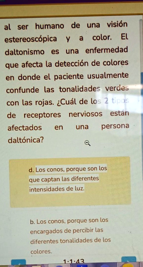 SOLVED ayuden me doy corona al ser humano de una visión estereoscópica