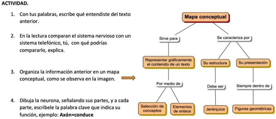 SOLVED En La Lectura Comparan El Sistema Nervioso Con El Sistema