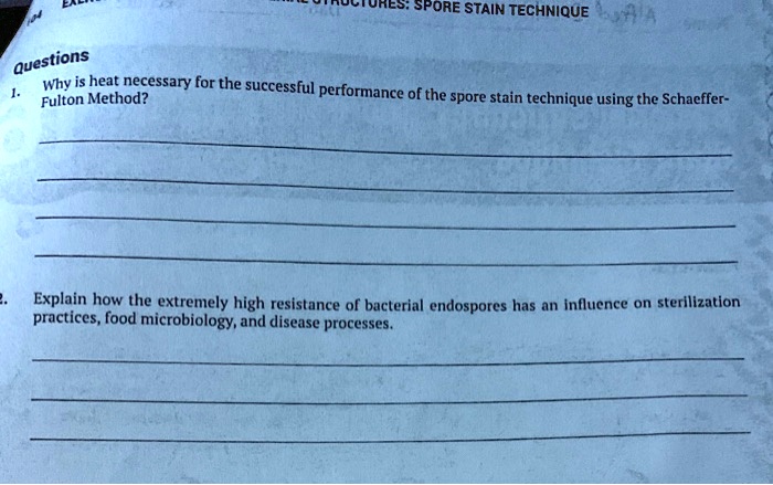 SOLVED Title Spore Stain Technique Questions Why Is Heat Necessary