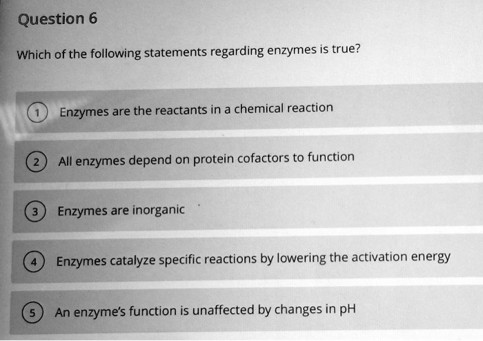 Question 6 Which Of The Following Statements Regarding Enzymes Is True