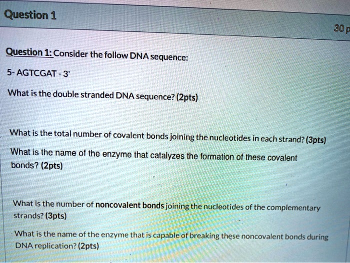 Solved Question Question Consider The Following Dna Sequence